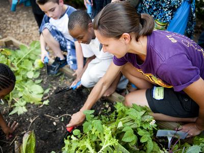 Adult and children kneel in a garden bed digging soil with hand tools
