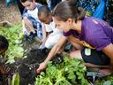 Adult and children kneel in a garden bed digging soil with hand tools