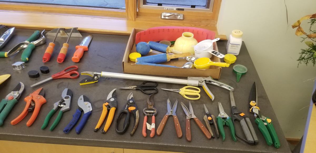 Photo by Amy Bruzzichesi