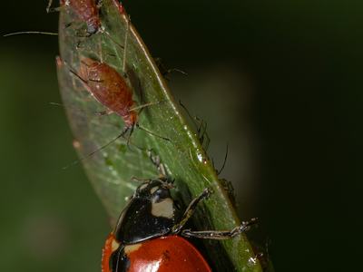 Photo by Akbar Nemati/Unsplash