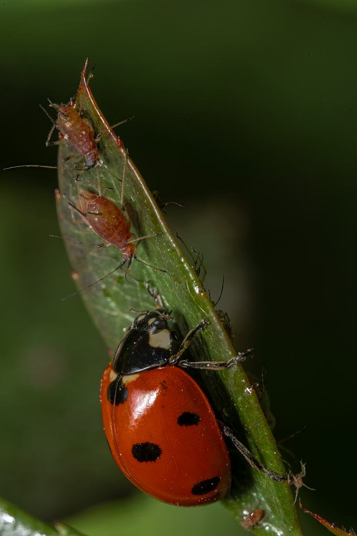 Photo by Akbar Nemati/Unsplash