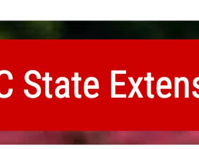 NC State Extension Homepage link and pointer icon