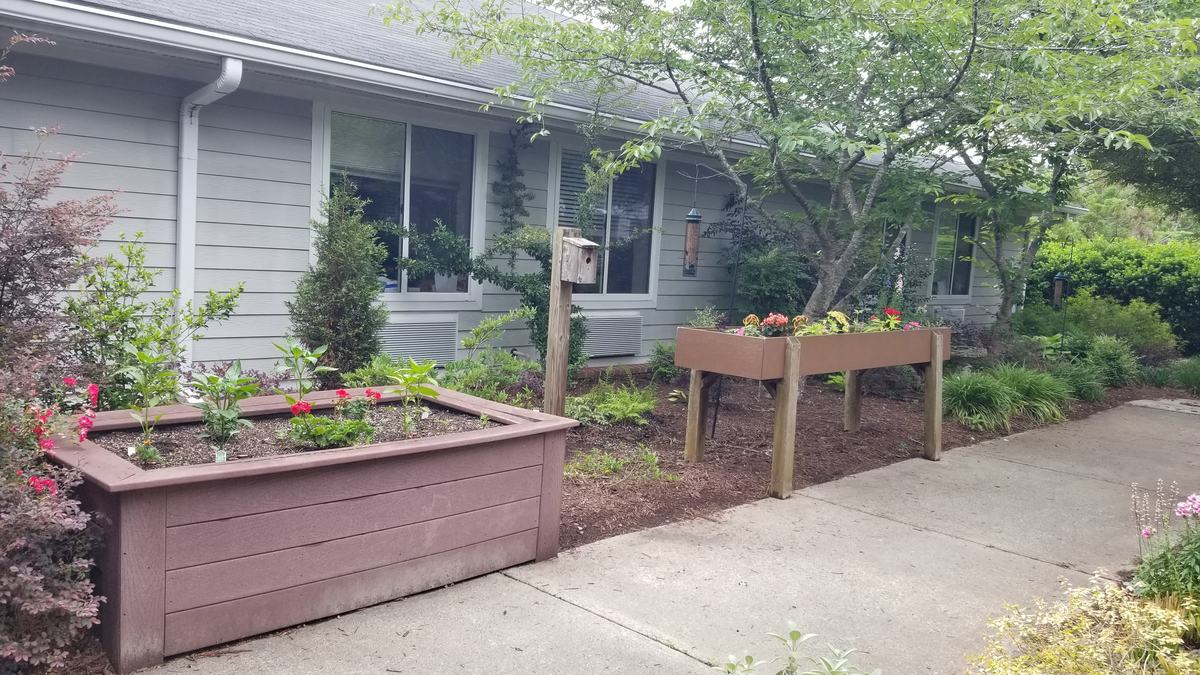 Photo by Amy Bruzzichesi