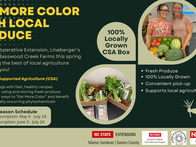 Eat more Color with Local Produce
