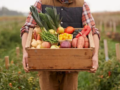 Farm-to-Table Cooking Class