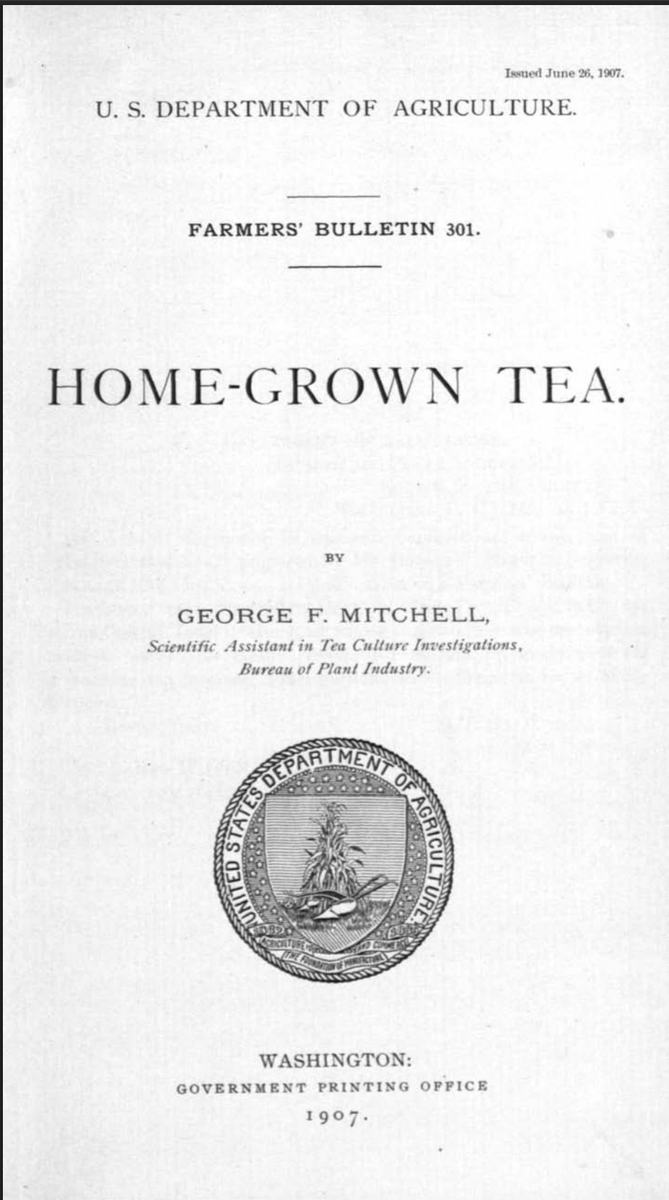 USDA homegrown tea flyer 1907