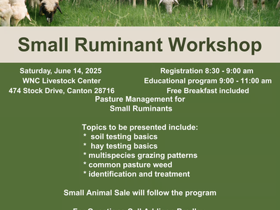 Image of sheep grazing on grass, all information on poster is written below
