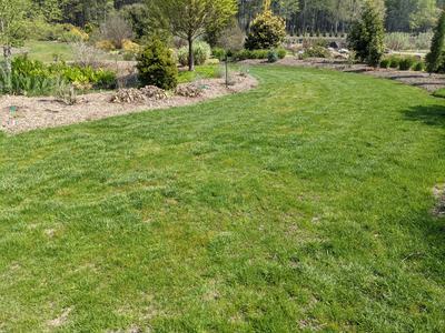 seasonal turf maintenance_Photo by Amanda Bratcher