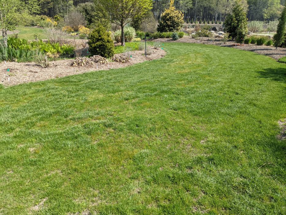 seasonal turf maintenance_Photo by Amanda Bratcher