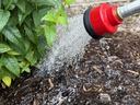 Watering