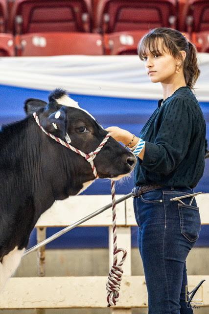 A girl stands with a cow she is showing.