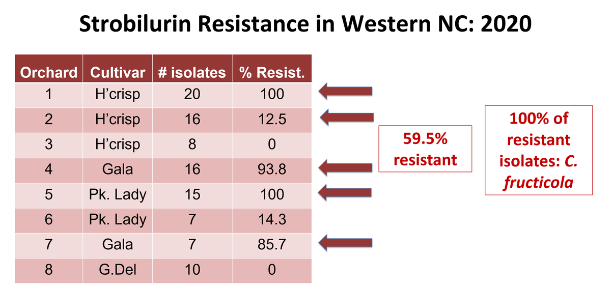 status of strobilurin resistance in 2020