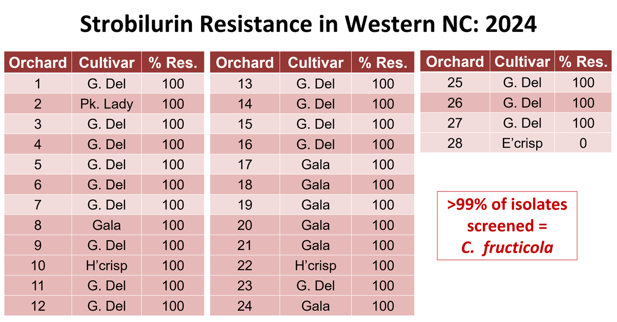 status of strobilurin resistance in 2024