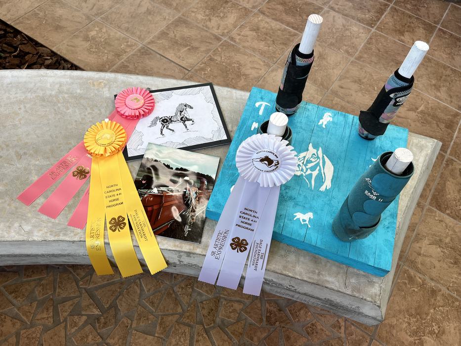 4-H art entries
