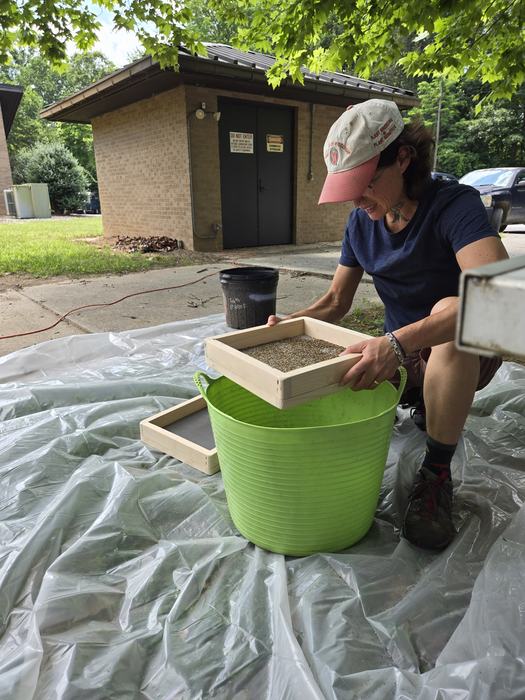 Person sifting small seeds in a wooden frame sieve over a green bucket outdoors