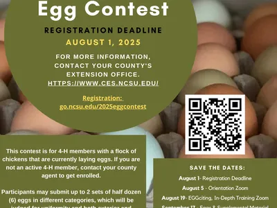 Egg-cellent Egg