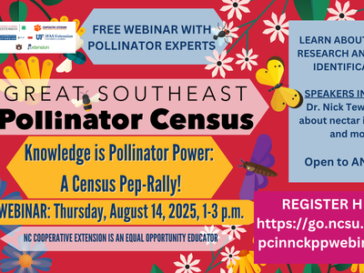 Great Southeast Pollinator Census webinar - Aug 14, 2025, 1-3 p.m.