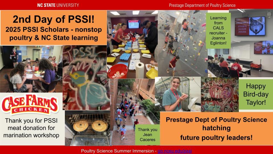 day 2 of pssi 