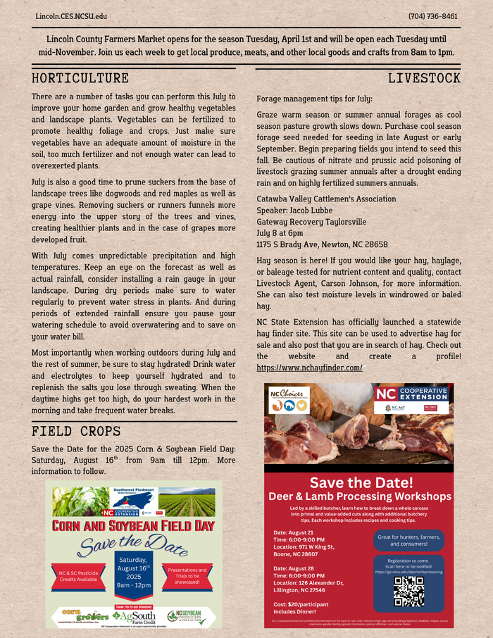 page 3 of July 2025 Newsletter with Horticulture, Livestock & Field Crops updates