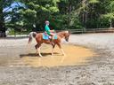 Child in helmet riding chestnut horse through muddy puddle in riding arena