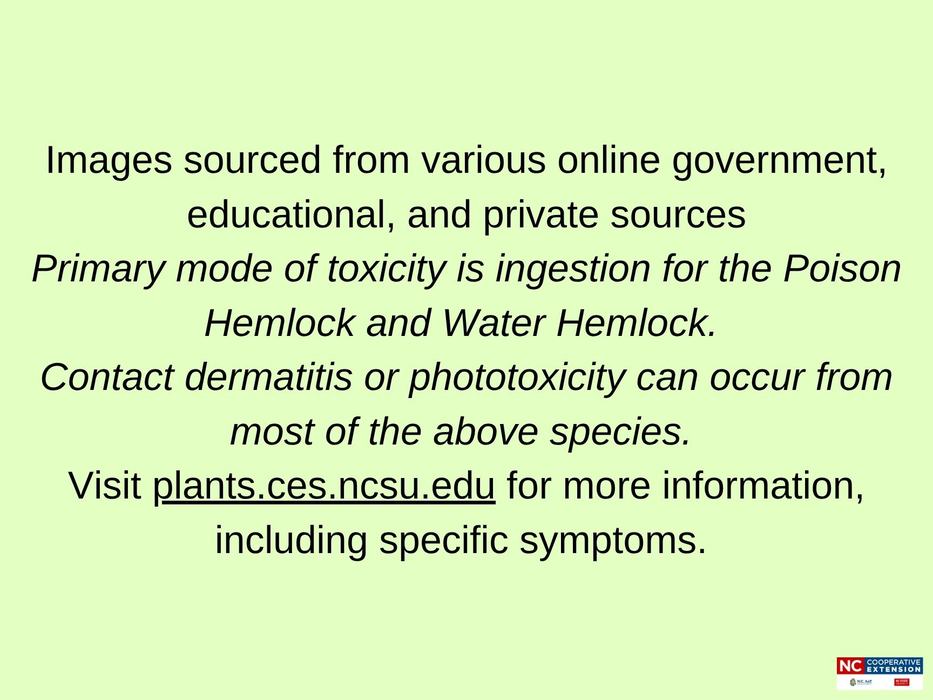 Page containing text describing citations, mode of toxicity, and webpage to visit for more info