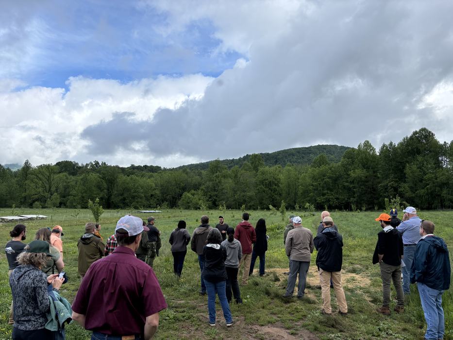 A group of people standing in a field with young trees.