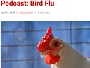 bird flu podcast