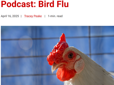 bird flu podcast