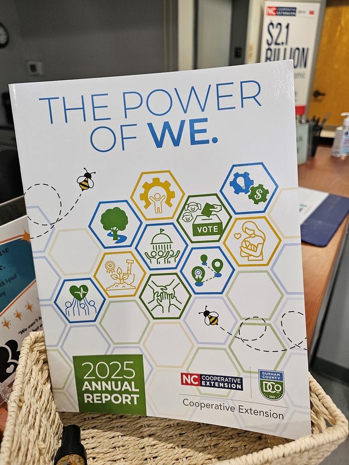 The 2025 Annual Report, titled The Power of WE.