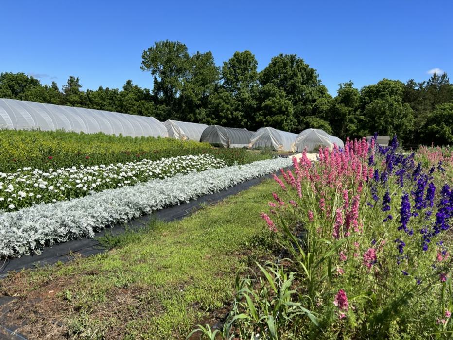 Humble Umble Farm at Breeze Farm