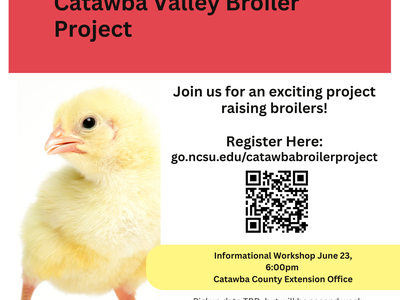 Catawba Valley Broiler Project.