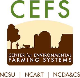 CEFS Logo