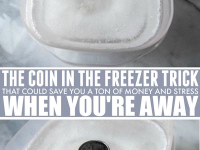 Coin in the Freezer trick to check if power went out while you were away