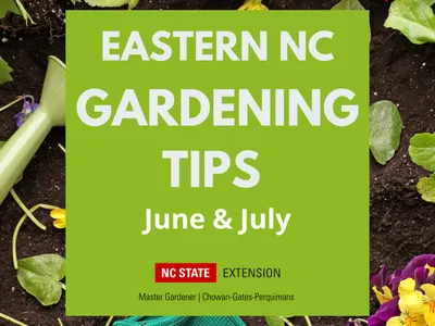 June & July Gardening Tips Flyer