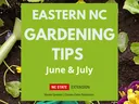 June & July Gardening Tips Flyer