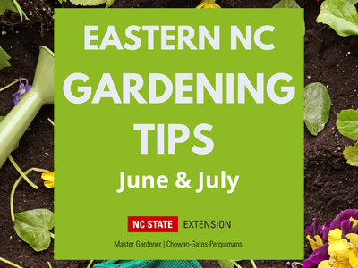 June & July Gardening Tips Flyer