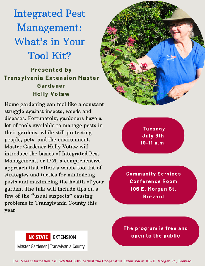 IPM Presentation Flyer