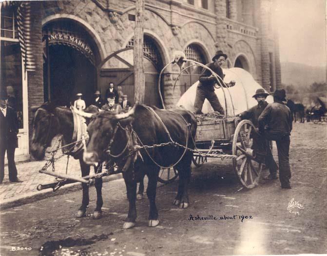 Black and white photo from 1902 of a man selling apples out of a ox drawn wagon in downtown Asheville, NC.