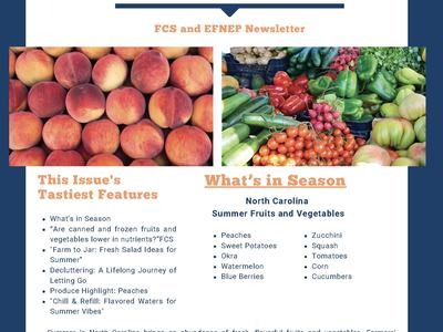 FCS and EFNEP Summer 2025 Newsletter (1)_Part1