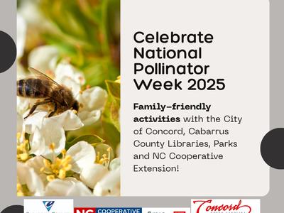 celebrate national pollinator week with these fun activities. Picture of bee on flower.