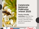 celebrate national pollinator week with these fun activities. Picture of bee on flower.