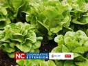 fall garden workshop