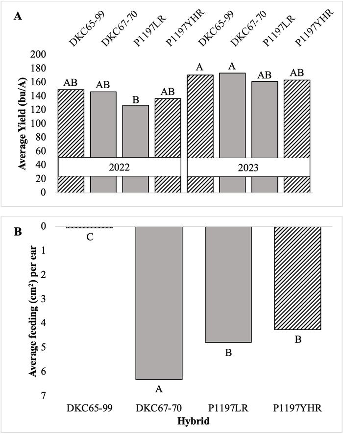 Bar chart showing that yield differed by year and hybrid, but not between Bt and non-Bt hybrids from the same company. Bar chart showing that corn earworm feeding was different by hybrid