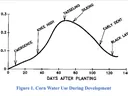 Graph of corn daily water use vs days after planting; peak at tasseling (~60–70 days)