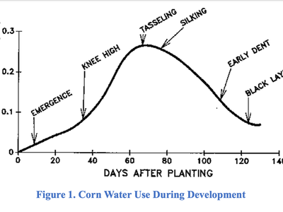 Graph of corn daily water use vs days after planting; peak at tasseling (~60–70 days)