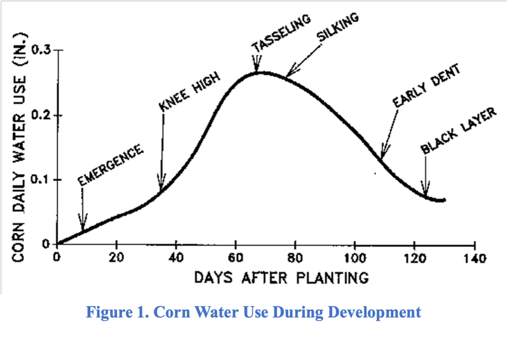 Line graph showing corn daily water use (in inches) over time from planting to maturity, peaking around tasseling and silking stages (~80 days), then declining through early dent and black layer stages.