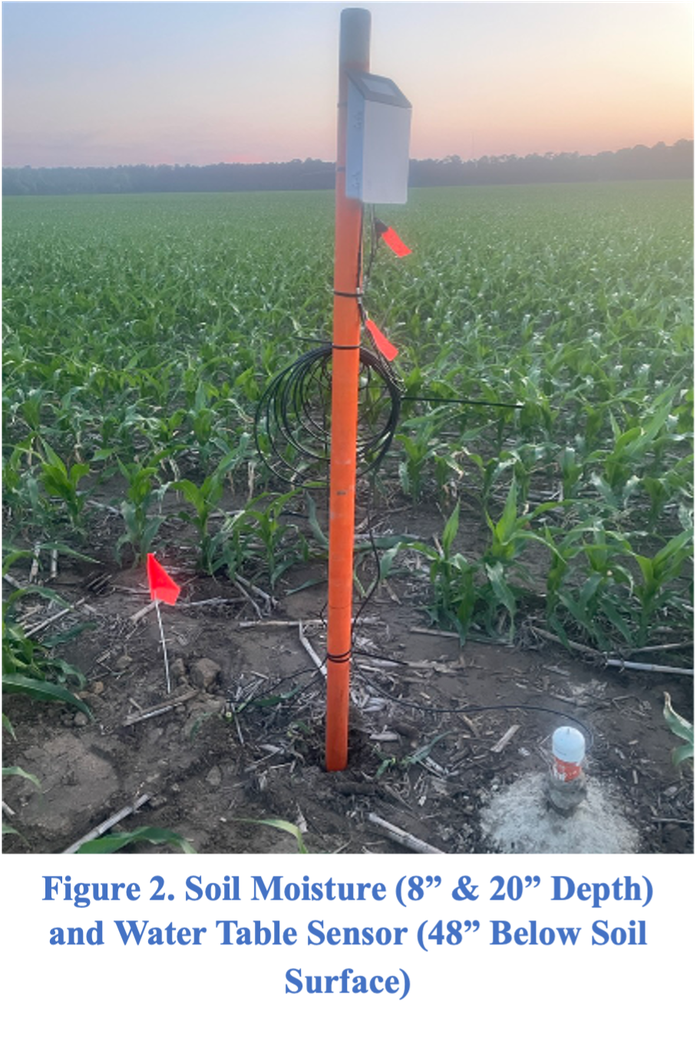 ChatGPT said: Tall orange sensor post in a cornfield equipped with wires and a mounted box, used to measure soil moisture at 8” and 20” depths and water table level at 48” below the soil surface.