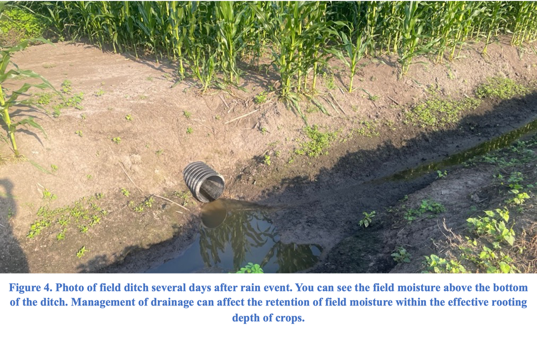 Field ditch with standing water and visible moisture in surrounding soil several days after rainfall, illustrating how drainage management influences moisture retention in crop root zones.