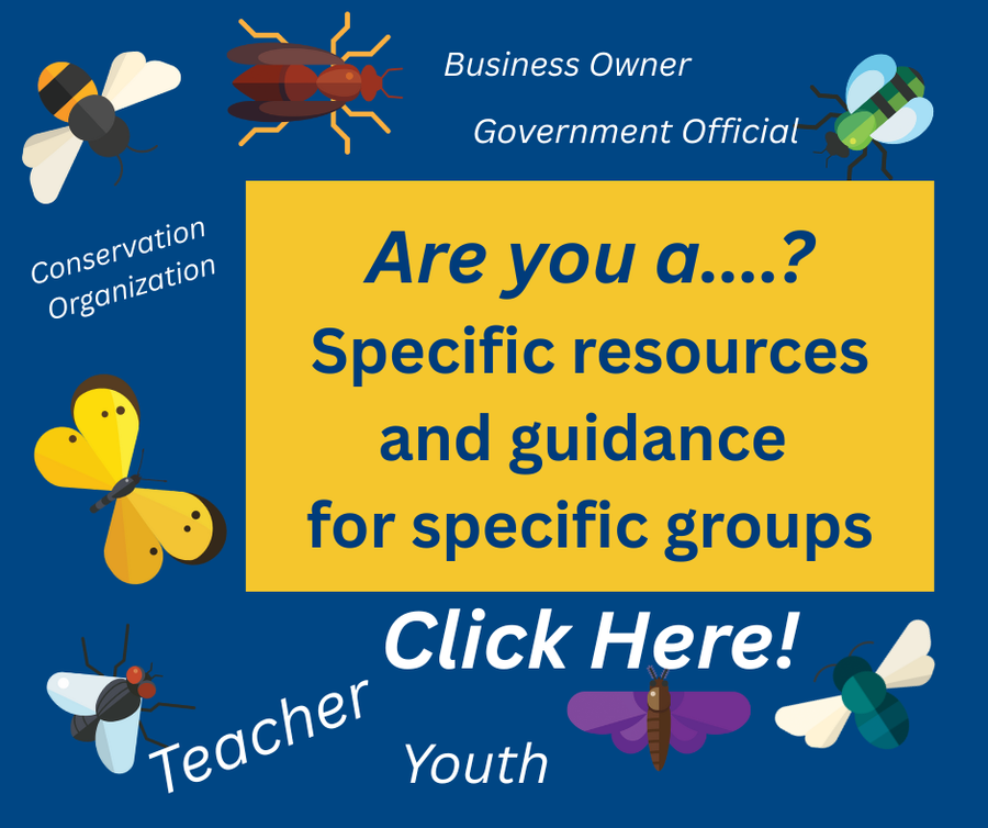 Button to take you to a website with grou=-specific guidance for the Census