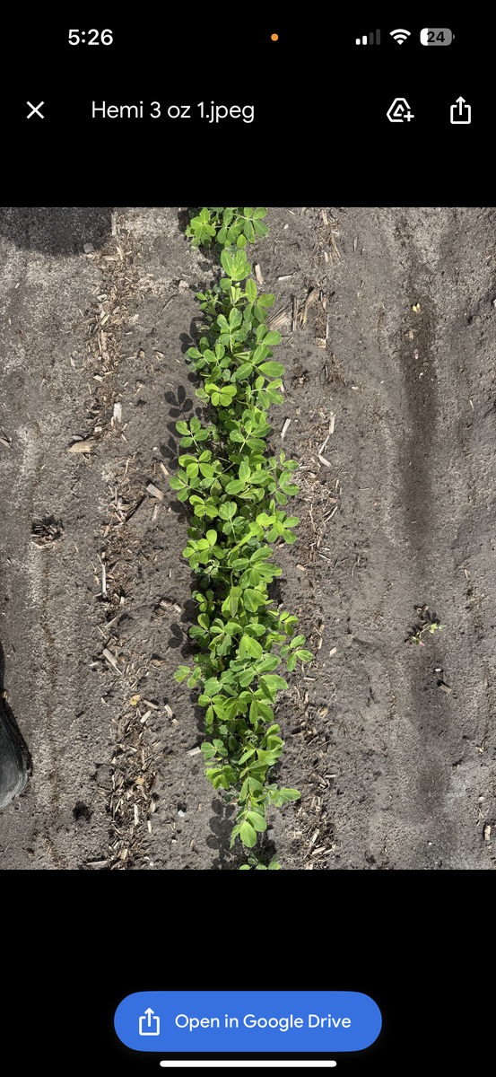 Hemi 3 oz trial on peanuts.